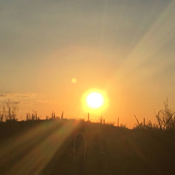 Meet your Posher, Wendy - Picture 1 of 1